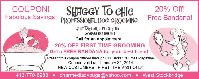 Amazing Dog Grooming Coupons  The ultimate guide 